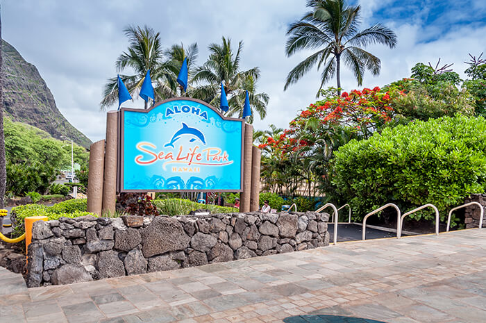 Sea Life Park Hawaii