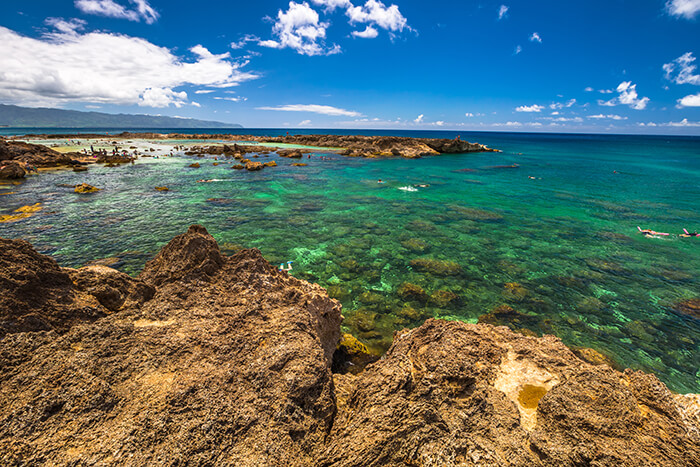 Shark's Cove