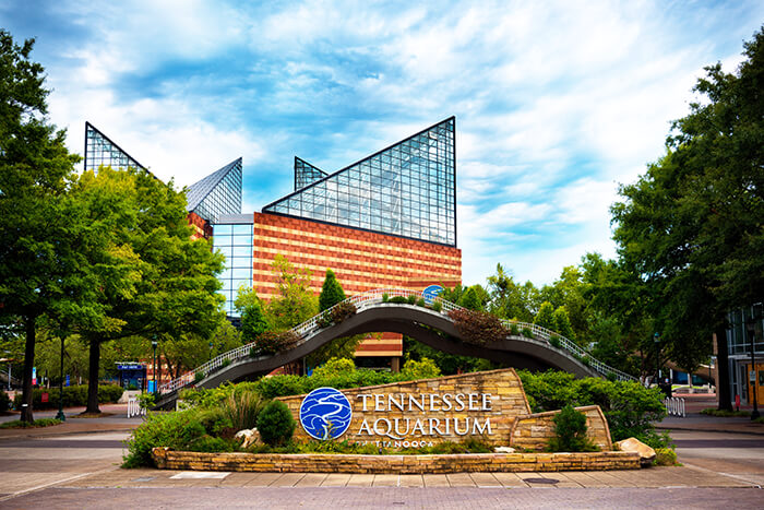 Tennessee Aquarium in Chattanooga