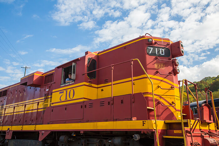 Tennessee Valley Railroad Museum