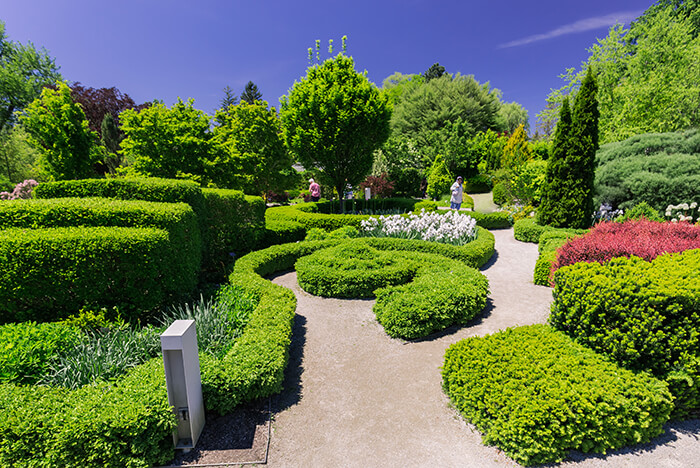 Toronto Botanical Garden