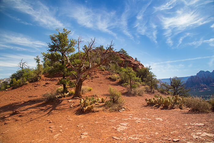 Vortex in Sedona Arizona