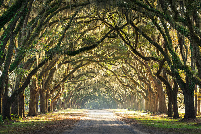 Wormsloe Historic Site