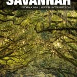 places to visit in Savannah, GA