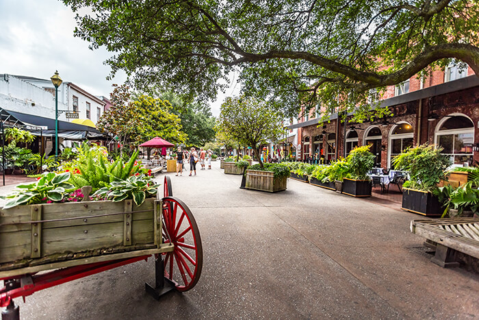 savannah City Market