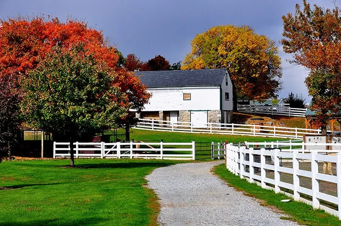 Amish Farm and House