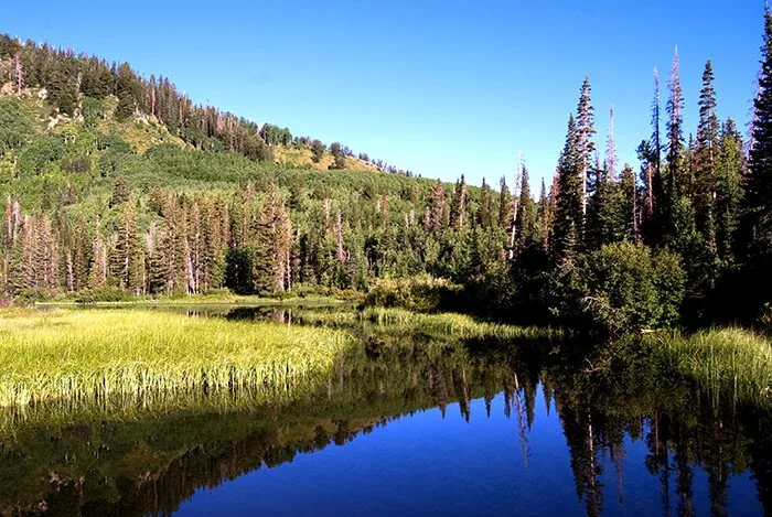 Big Cottonwood Canyon