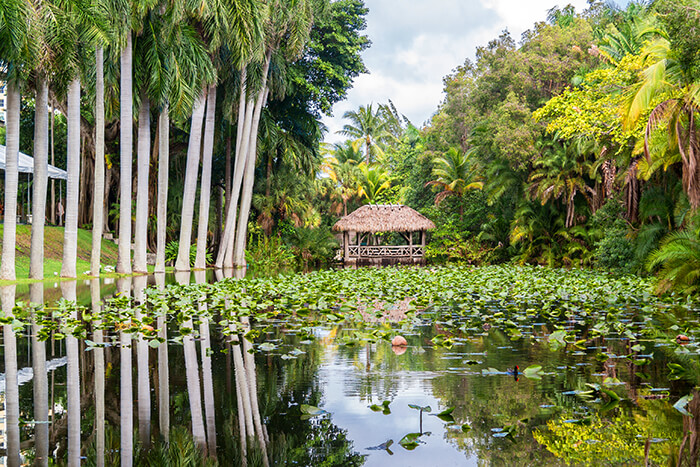 Bonnet House Museum & Gardens