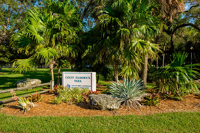 Colee Hammock Park