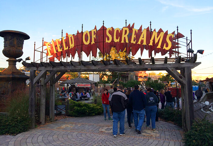 Field of Screams