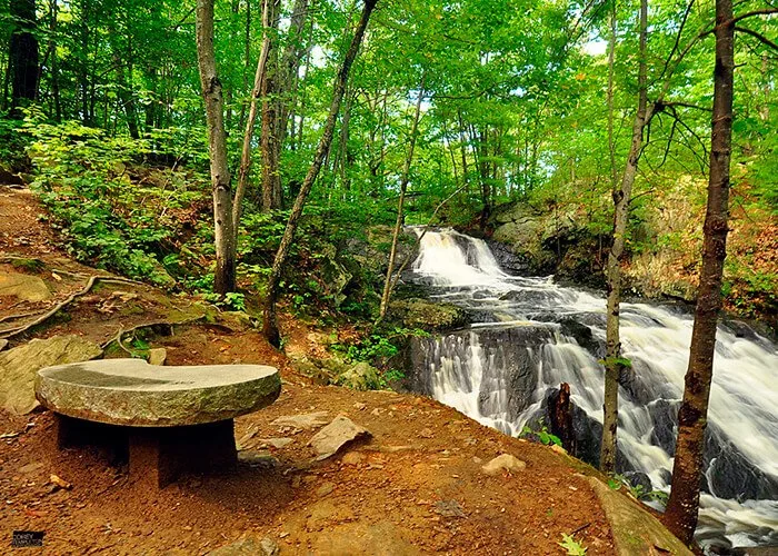 Fore River Sanctuary