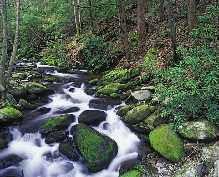 Gatlinburg Trail