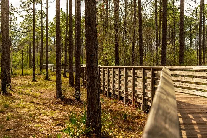 Great Florida Birding Trail