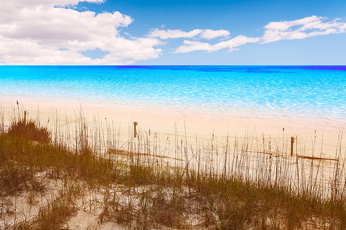 Henderson Beach State Park