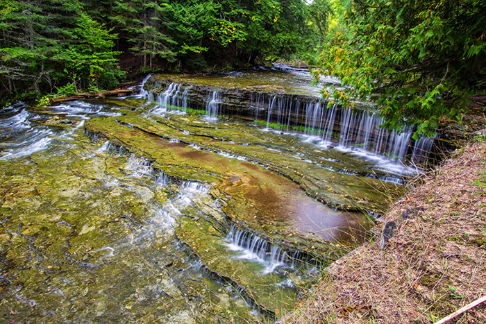 Hiawatha National Forest