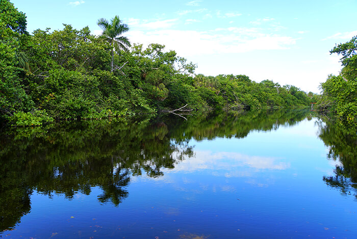 Hugh Taylor Birch State Park