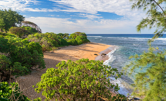 Larsen's Beach