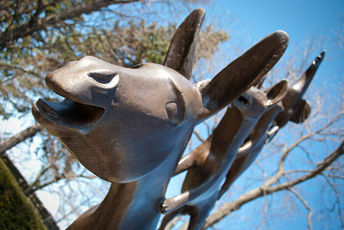 Lynden Sculpture Garden