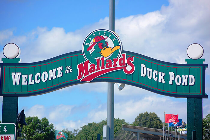 Madison Mallards