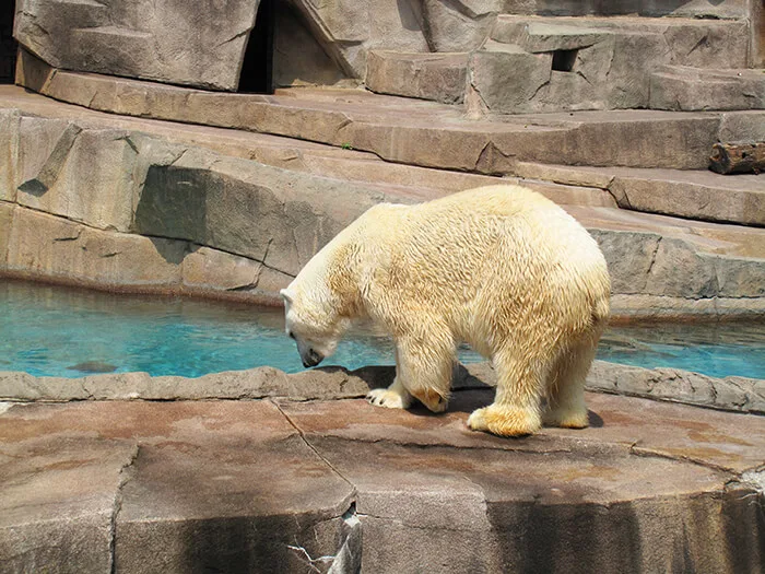 Milwaukee County Zoo