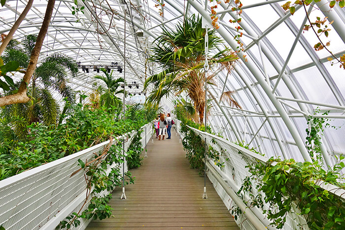 Myriad Botanical Gardens