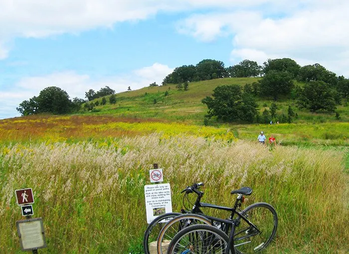 Pheasant Branch Conservancy