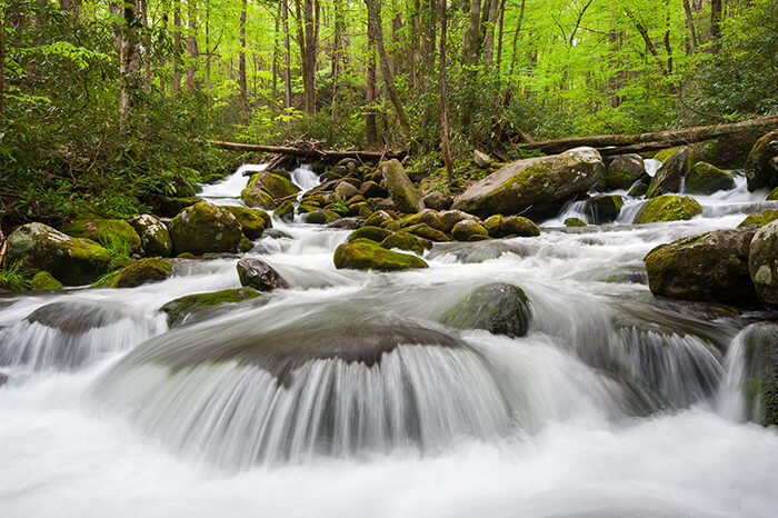 Roaring Fork Motor Nature Trail