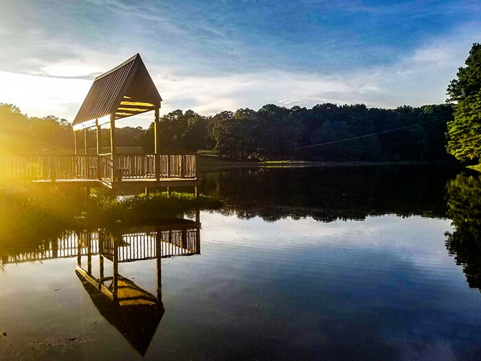 Shelby Farms