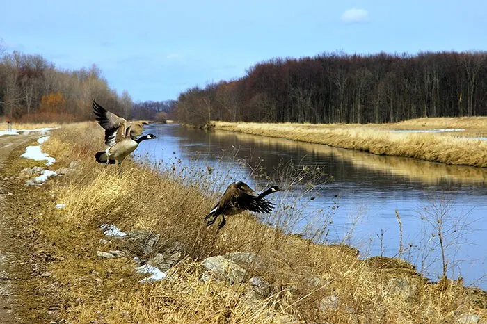 Shiawassee National Wildlife Refuge