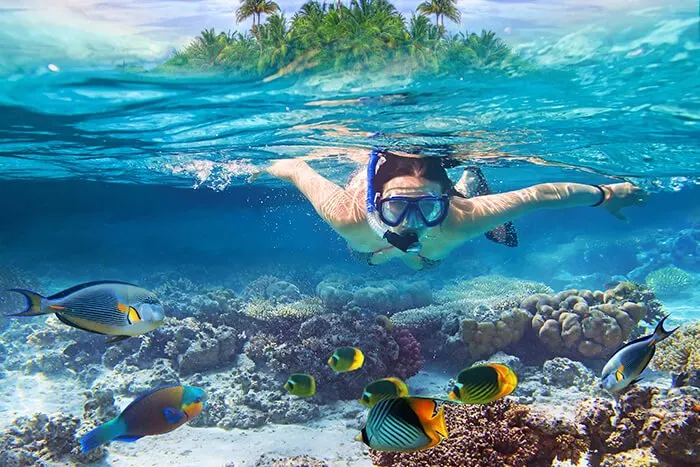 Snorkeling in Cancun