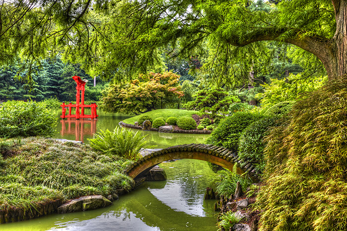 Brooklyn Botanic Garden