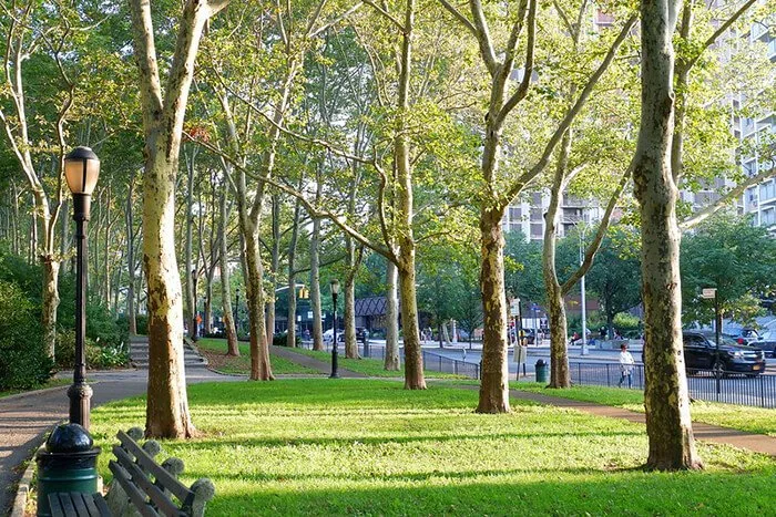 Cadman Plaza Park