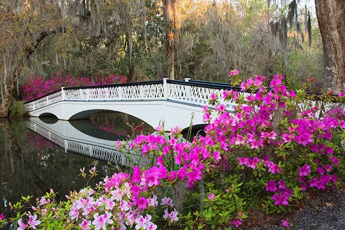 Magnolia Plantation & Gardens