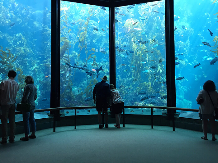 Monterey Bay Aquarium