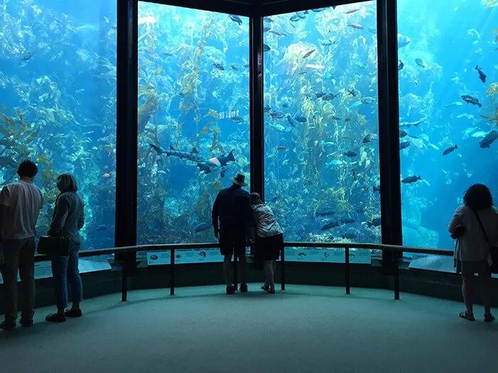 Monterey Bay Aquarium