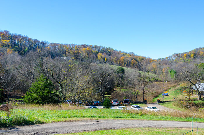 Owl's Hill Nature Sanctuary