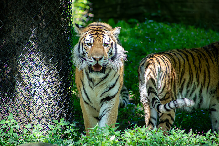 Pittsburgh Zoo