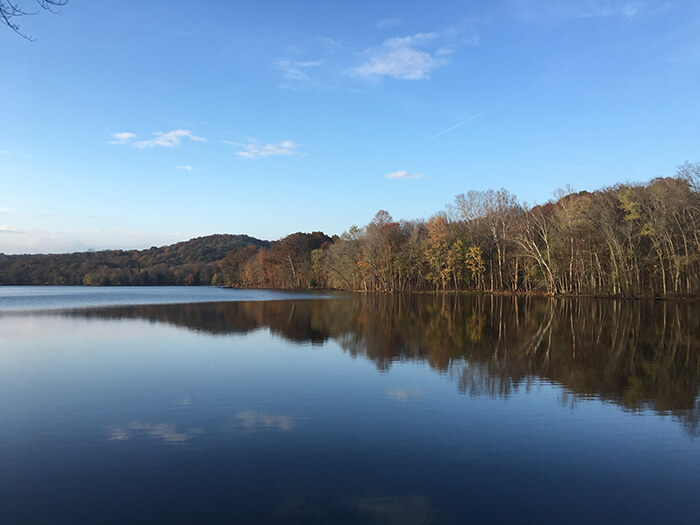 Radnor Lake