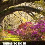 best things to do in Charleston, SC