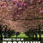 fun things to do in Brooklyn, NY