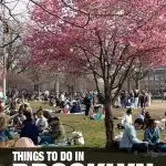 things to do in Brooklyn, NY