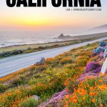 things to do in California