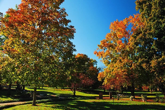 My Old Kentucky Home State Park