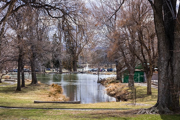 Idlewild park