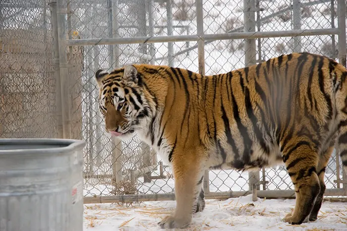 Sierra Safari Zoo