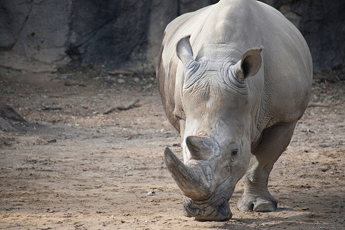 Maryland Zoo