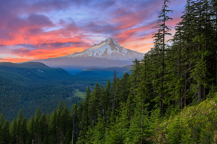 Mount Hood