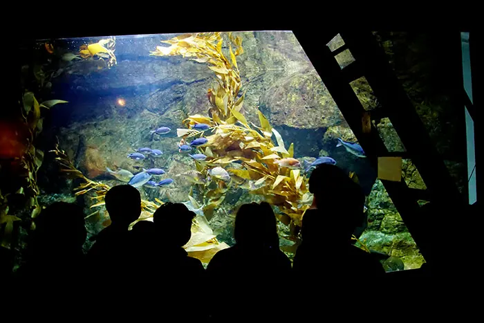 Oregon Coast Aquarium