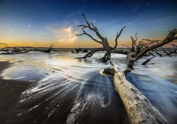 Big Talbot Island State Park