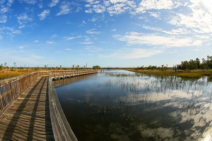 Castaway Island Preserve